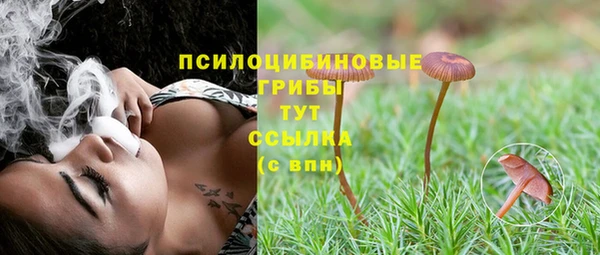 spice Алзамай
