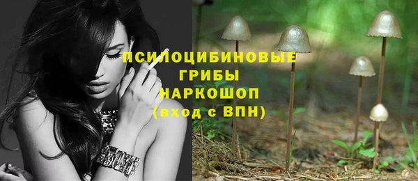 spice Алзамай