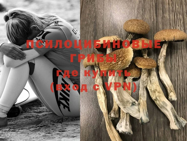 ешки Алексин
