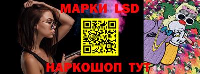 дживик Моздок