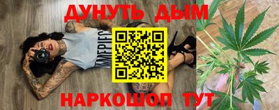дживик Моздок