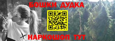 дживик Моздок
