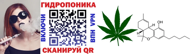Конопля SATIVA & INDICA  где купить наркотик  Дюртюли 